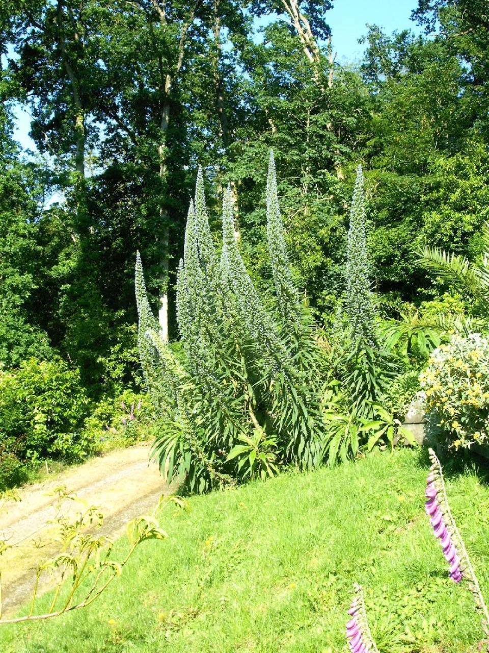 Gite La Bertichere 3 Etoiles Saint-Jean-le-Thomas Eksteriør billede